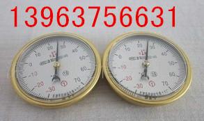 ?軌溫表?安源軌溫表