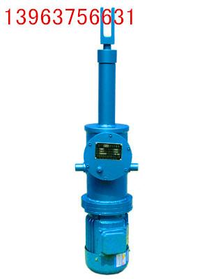 供應DYTZ直體式電液推桿