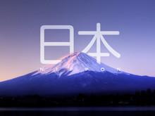 供應(yīng)貨物進(jìn)出口代理（一條龍服務(wù)）