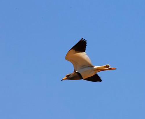 供應樂亭品質(zhì)游線路二