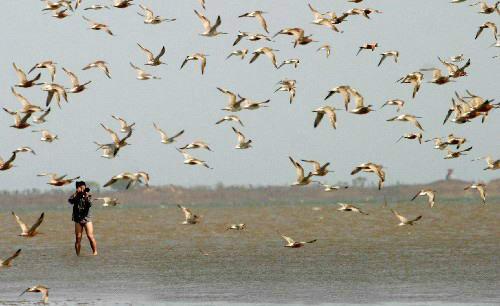 樂亭淺水灣菩提島-海濱海島（藍(lán)色）游