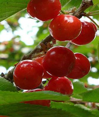 供應樂亭品質(zhì)游線路二