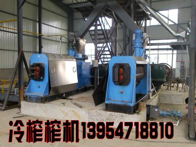 新型花生冷榨機(jī)圖片
