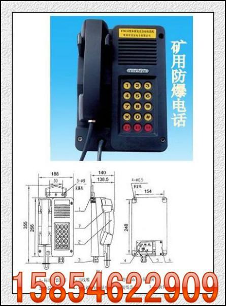 供应质量可靠KTH116本安型DSP降噪电话