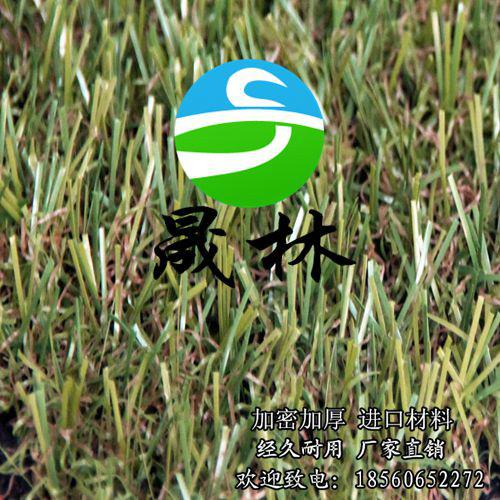 供應(yīng)別墅綠化人造從平