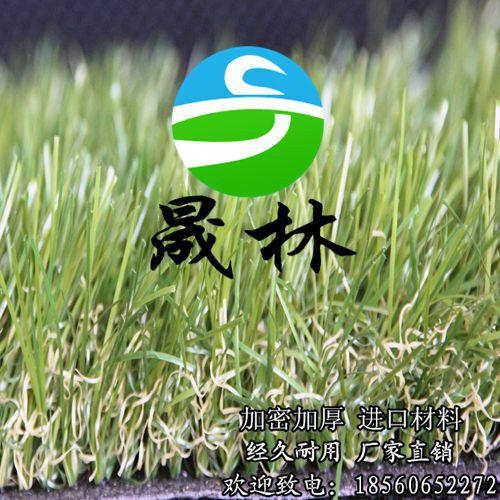 供應(yīng)樓頂綠化人造草坪