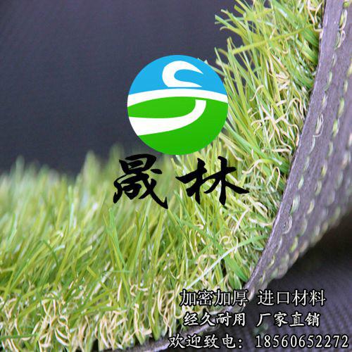 供應(yīng)別墅綠化人造從平