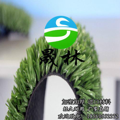 學(xué)校人造草坪足球場山東供應(yīng)商