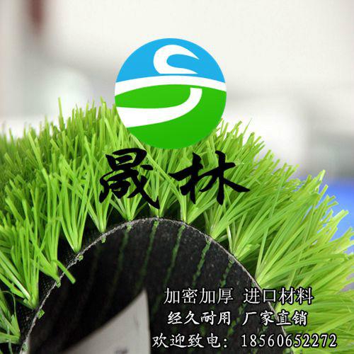 人造草坪足球場山西供應(yīng)商