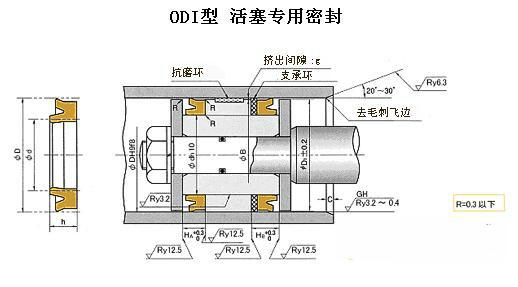 供应ODI型NOK产密封件