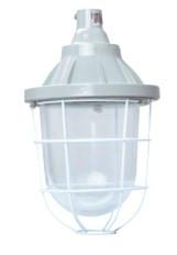 新黎明BCD-200防爆隔爆型燈B圖片