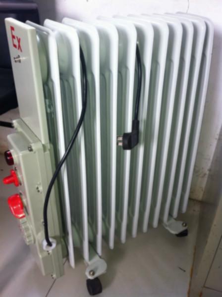 新黎明BDN58隔爆型加熱油汀圖片