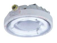 供應(yīng)新黎明防爆CCD96環(huán)形熒光燈價格合理