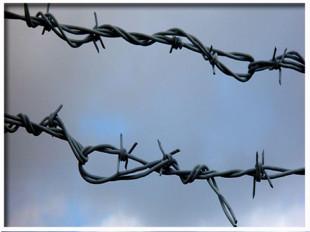 供應刺繩鐵蒺藜