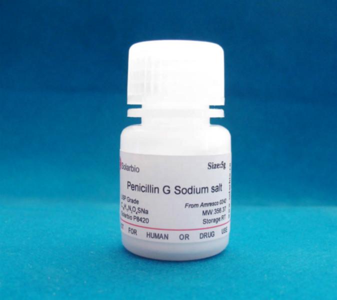 供應(yīng)青霉素G鈉鹽P8420