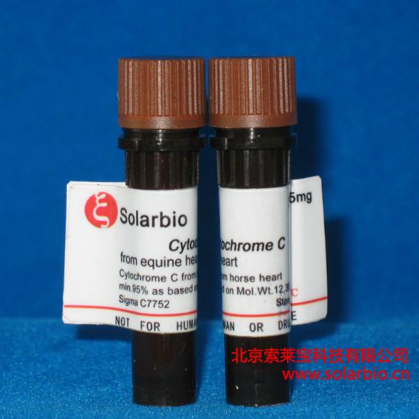 細(xì)胞色素C馬心圖片