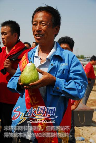 烟台市莱阳茌梨批发价格厂家