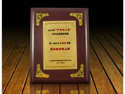 砂質(zhì)獎(jiǎng)牌定制圖片