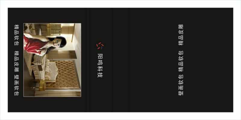 供應上海樣本印刷廠家在哪里，上海樣本印刷哪里的*