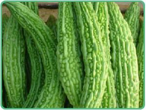 供應(yīng)苦瓜甙10廠家直銷/標(biāo)準(zhǔn)含量