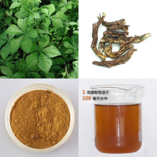 供應(yīng)刺五加甙0.81.2青萍廠家專業(yè)銷售