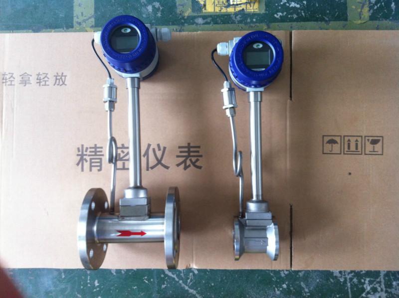渦街流量計圖片/渦街流量計樣板圖 (2)