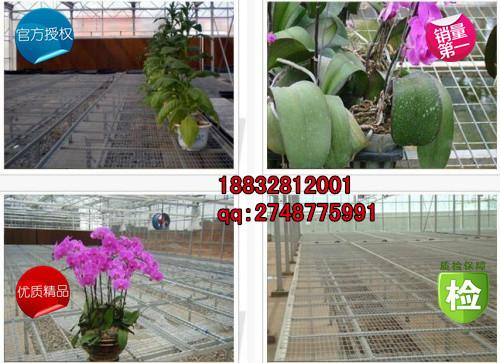 供應(yīng)地?zé)峋W(wǎng)片價(jià)格 地?zé)峋W(wǎng)片報(bào)價(jià) 地?zé)峋W(wǎng)片廠家電話