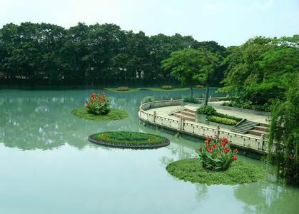 供應(yīng)河南浮島制作，浮島種植公司，浮島放假銷(xiāo)售，浮島大量批發(fā)