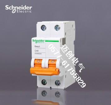 供應(yīng)施耐德EA9AN-C40A/2P小型斷路器