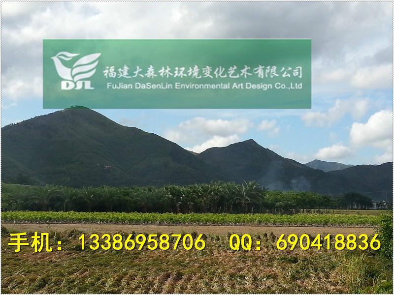 8分10分12分15分20分香樟苗袋圖片/8分10分12分15分20分香樟苗袋樣板圖 (2)