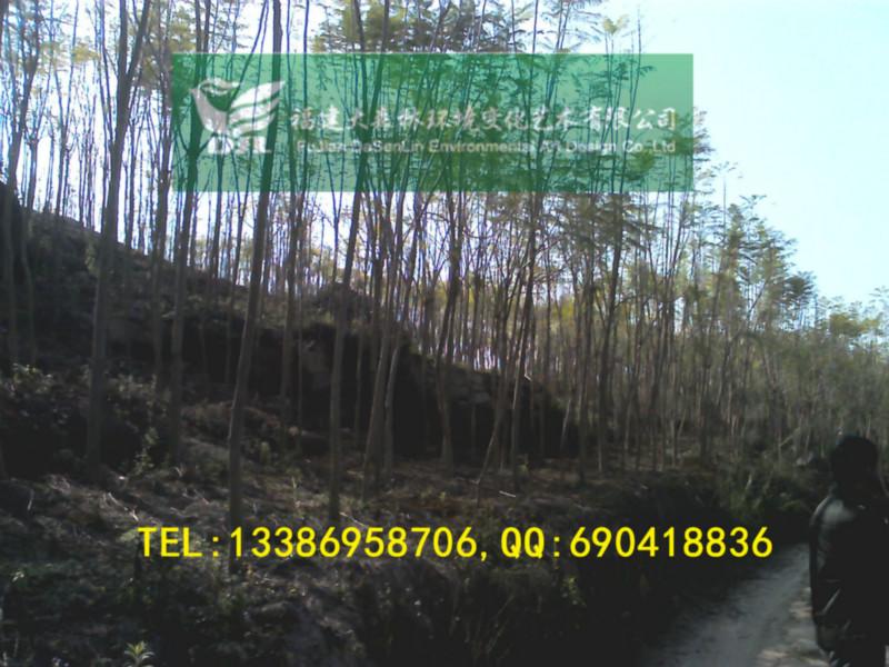 10公分圖片/10公分樣板圖 (3)