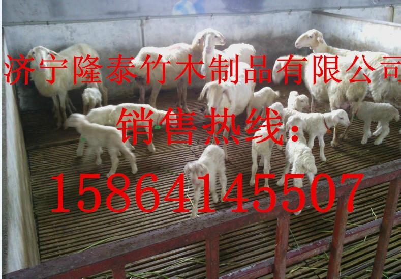 供應(yīng)建設(shè)羊床有什么好處/羊用漏糞板