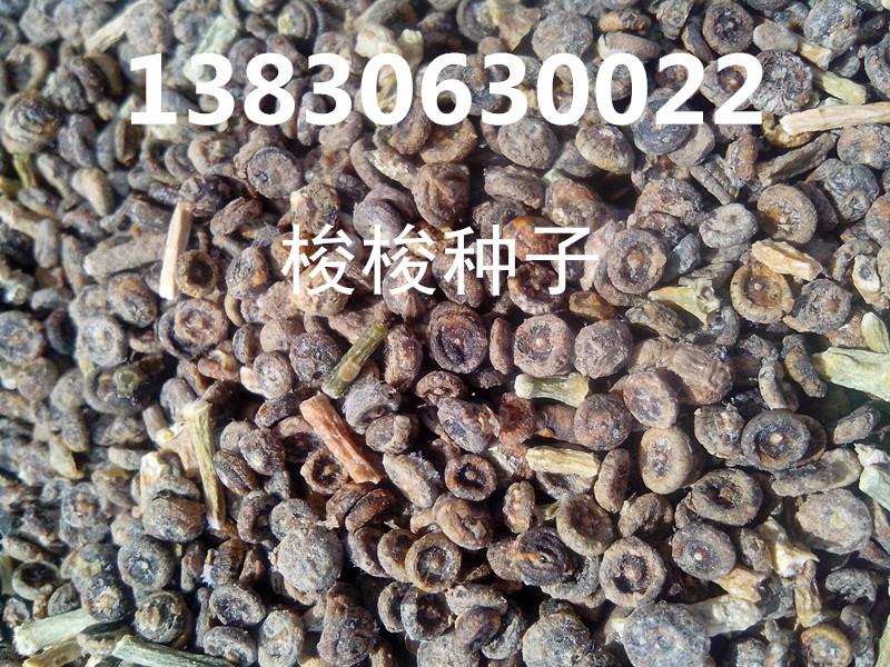 供應(yīng)垂榆供貨商，垂榆供應(yīng)商，垂榆批發(fā)商