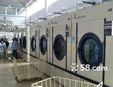 供應烘干機干洗機水洗機