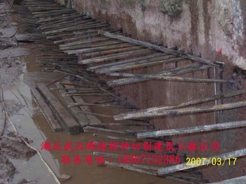 供應(yīng)武漢植筋加固