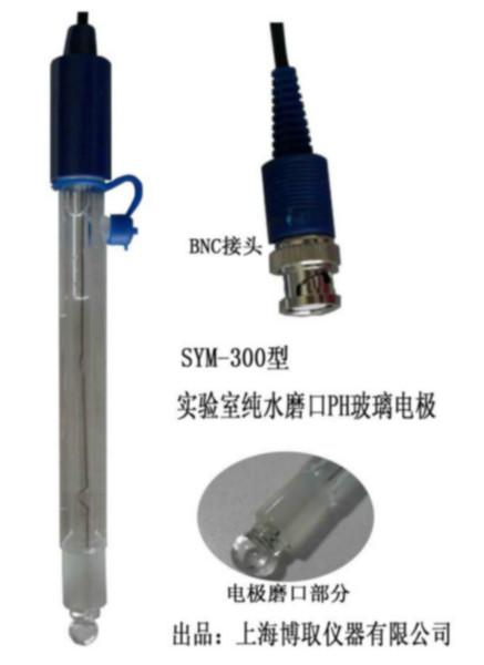 SYM-300纯水磨口PH玻璃电极厂家图片