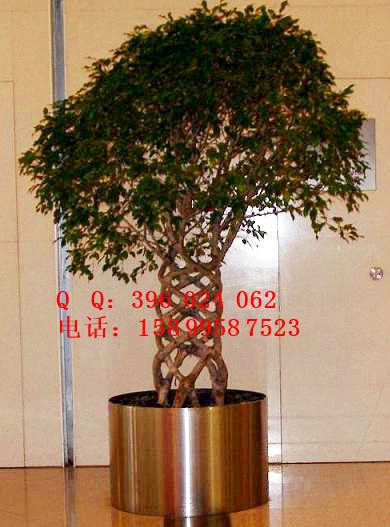 供應(yīng)304不銹鋼花盆