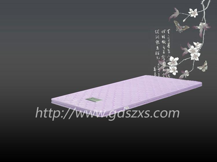 廣東學(xué)生宿舍床墊 供應(yīng)廣東學(xué)生宿舍床墊 湖北棕墊批發(fā)價(jià)格