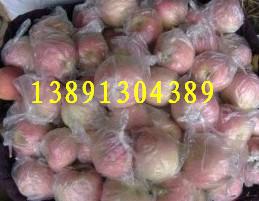 供應陜西紙袋紅富士蘋果價格紙袋紅富士蘋果價格