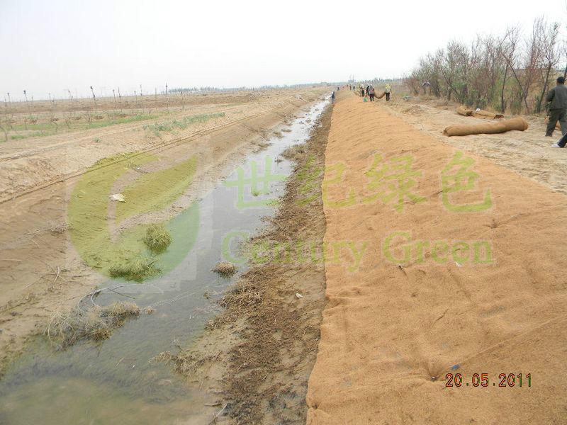 供應(yīng)環(huán)保植被毯