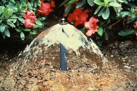 供應生態(tài)袋植生袋