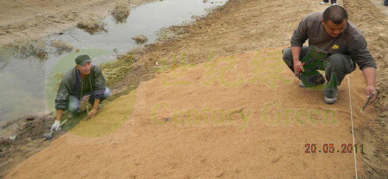 供應(yīng)環(huán)保植被毯