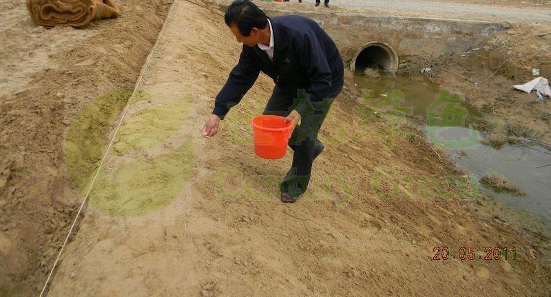 供應(yīng)環(huán)保植被毯