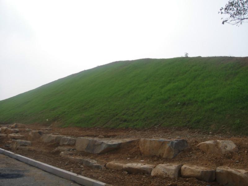 提供客土噴播技術(shù)