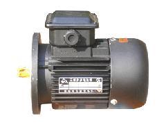 供應(yīng)油泵電機，南通油泵電機價格，江蘇油泵電機供貨商