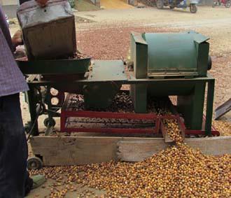 供應橡子脫殼機/橡籽脫殼機/橡子剝皮機/橡子去皮機/橡子剝殼機
