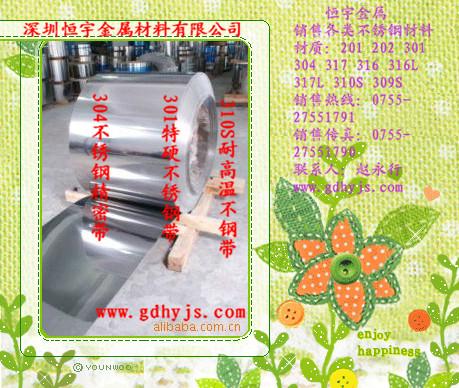 316不銹鋼鋼帶圖片/316不銹鋼鋼帶樣板圖 (2)