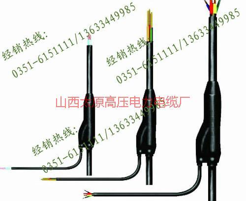 山西煤礦用預(yù)分支電纜限量出售超低圖片
