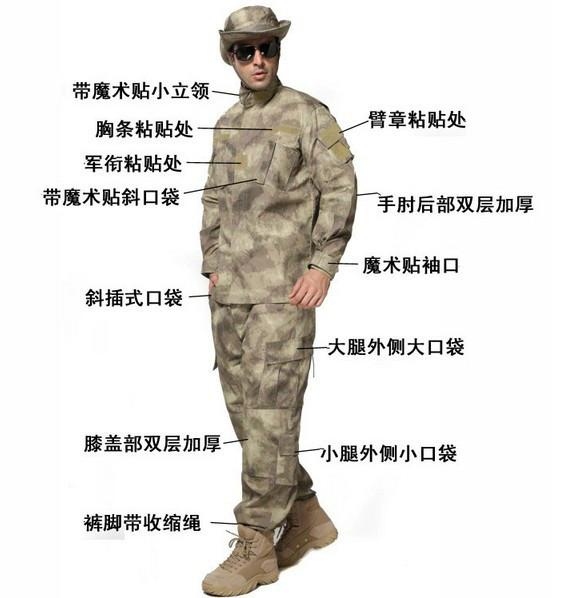 供應美軍新款叢林廢墟迷彩服
