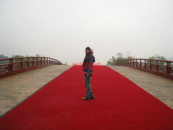 登封展覽工程地毯滎陽(yáng)地毯廠家圖片/登封展覽工程地毯滎陽(yáng)地毯廠家樣板圖 (3)